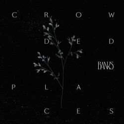 Cover of Crowded Places