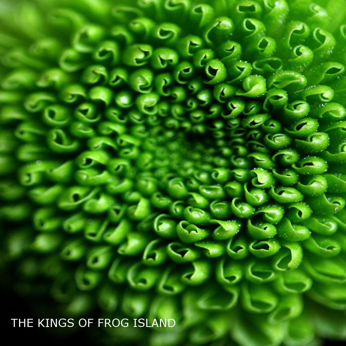 Album cover of The Kings of Frog Island V