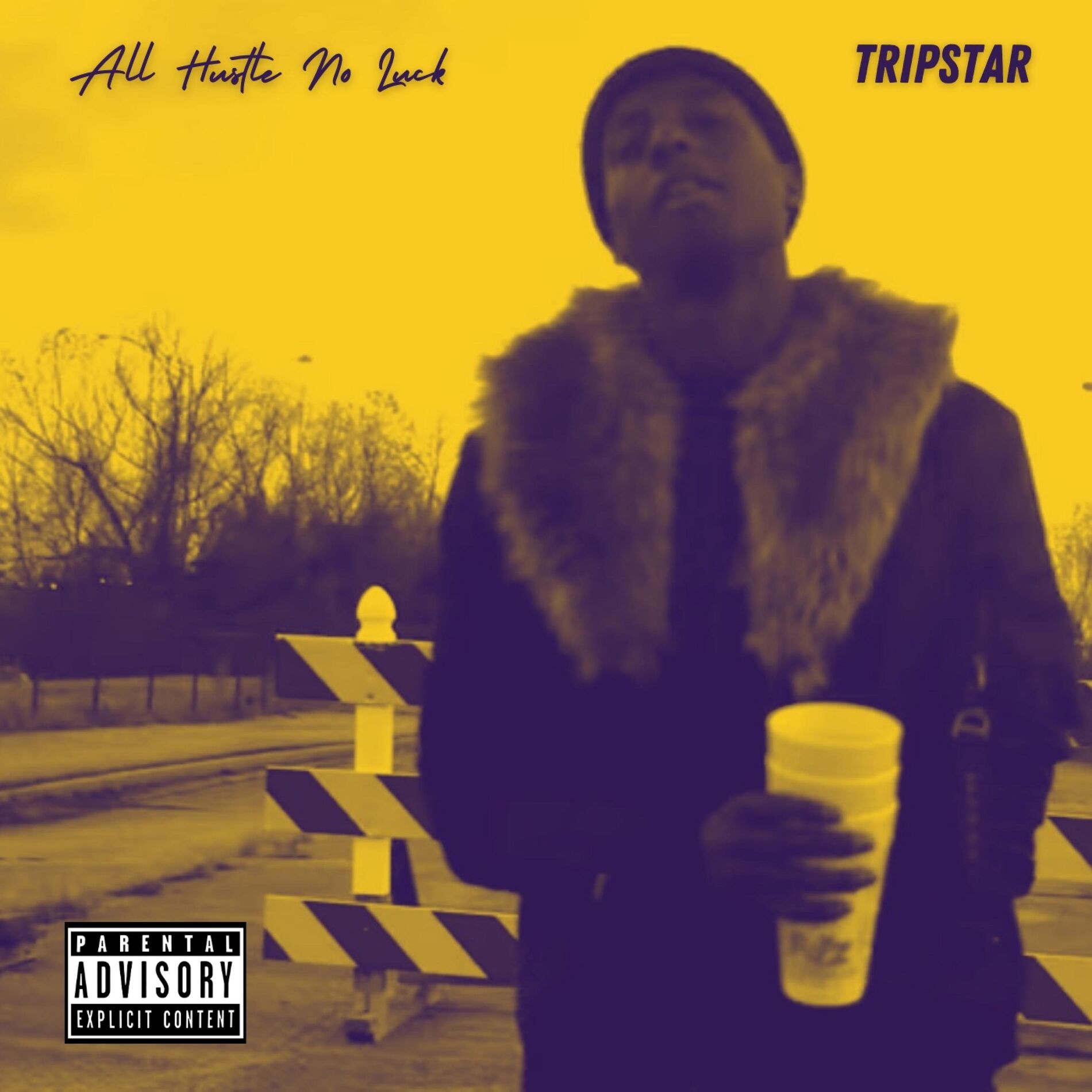 Album cover of All Hustle No Luck
