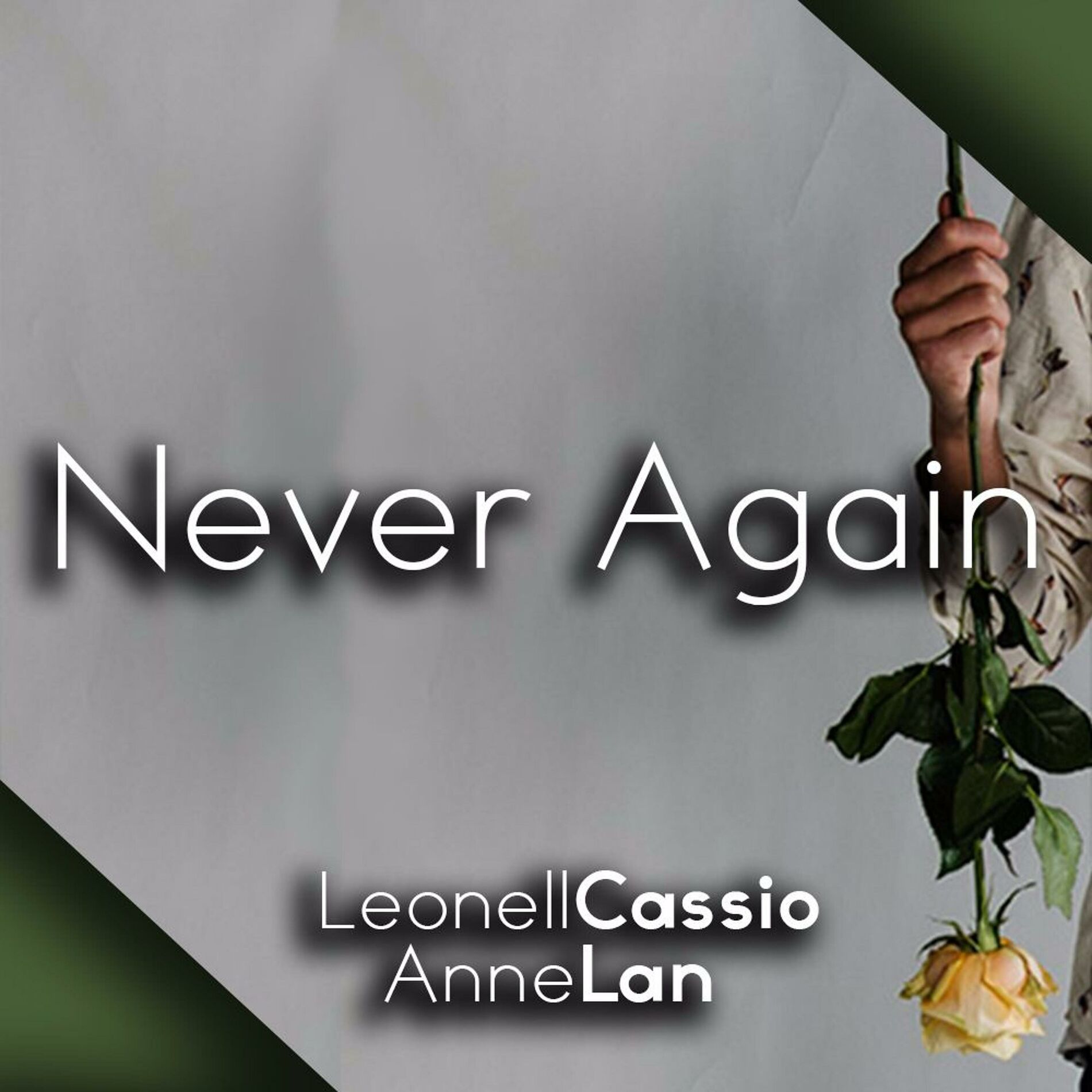 Album cover of Never Again (feat. Anne Lan)