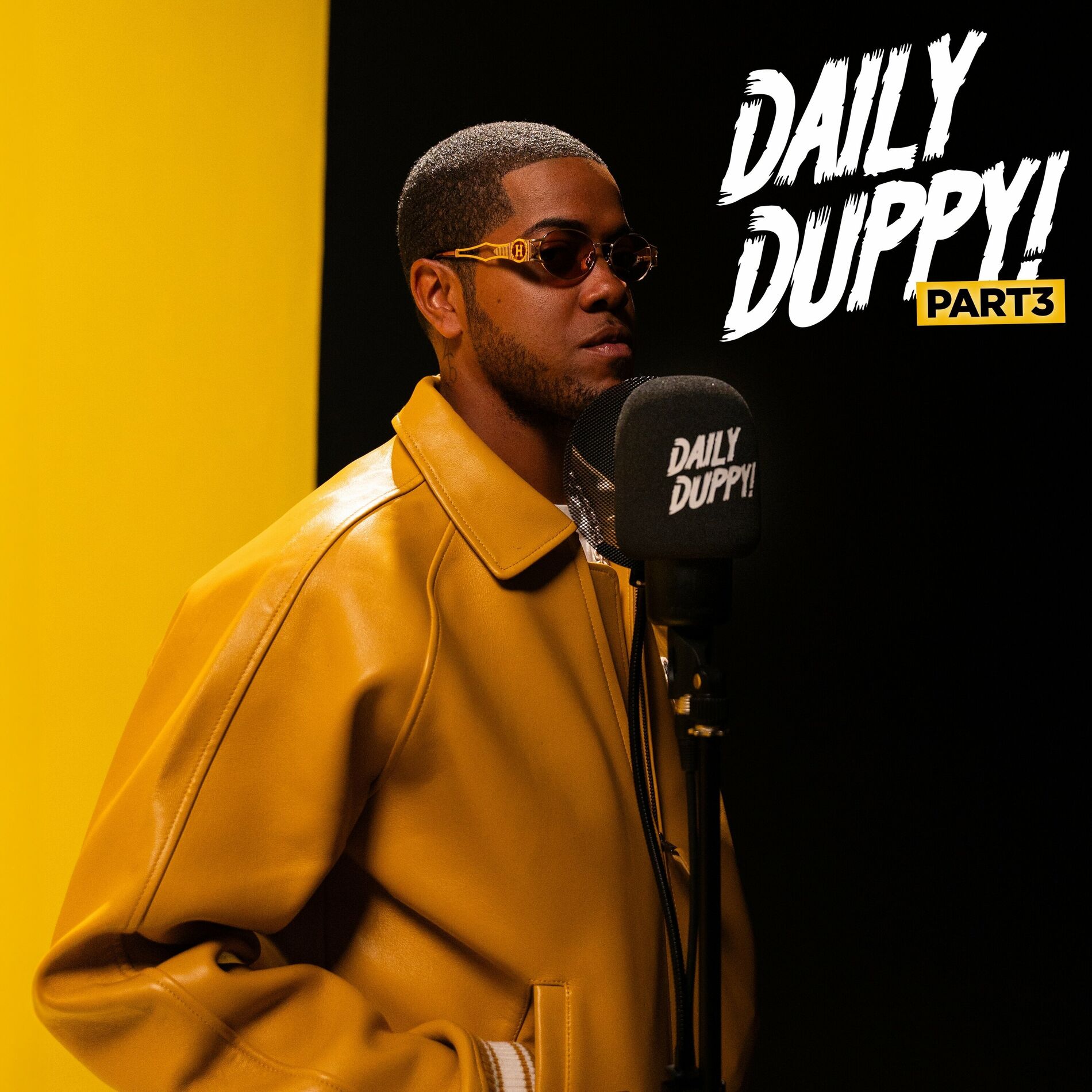 Album cover of Daily Duppy, Pt. 3