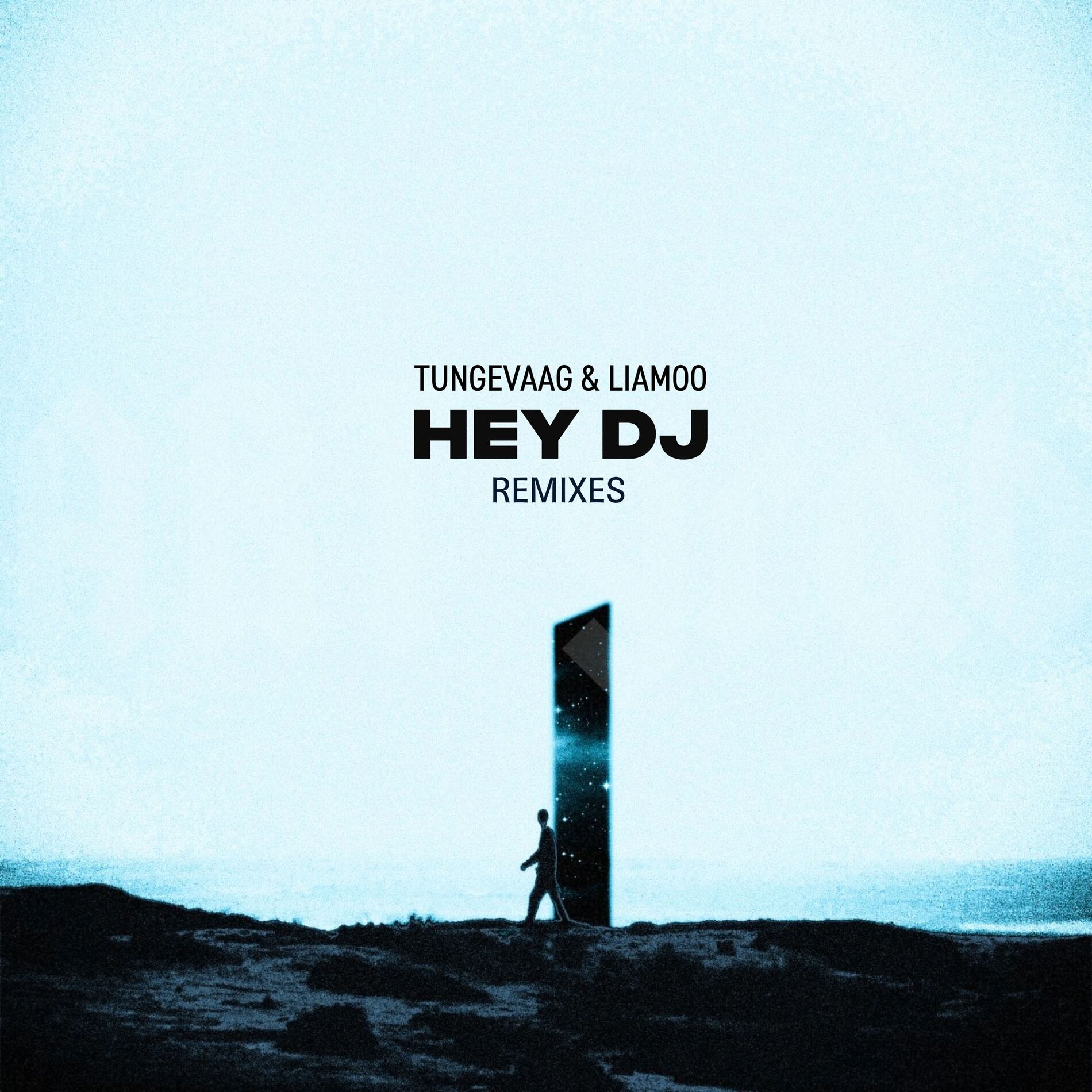 Album cover of Hey DJ (Refuzion Remix)