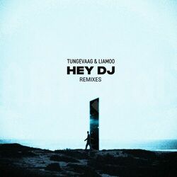 Cover of Hey DJ (Remixes)