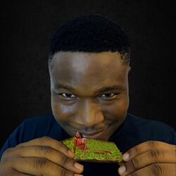 Cover of A BLUNT FOR REALITY