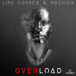 Cover of Overload by undefined