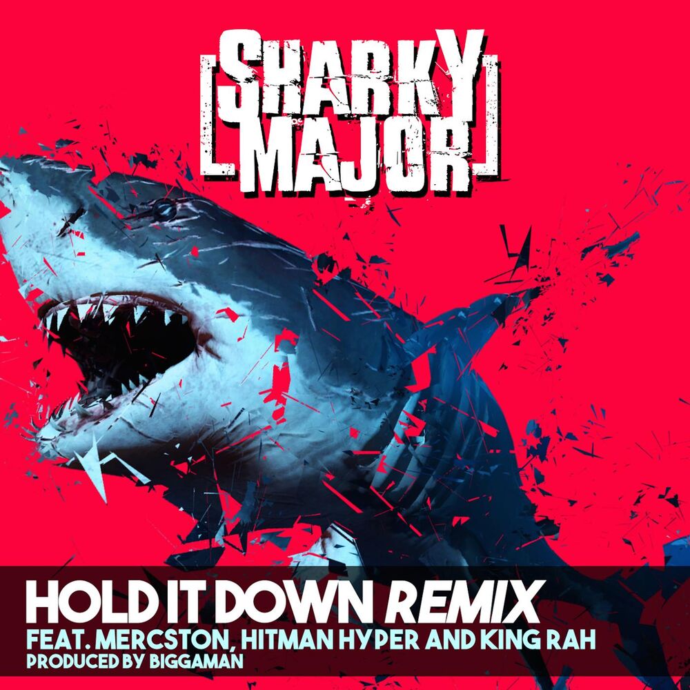 Picture of Hold It Down (Remix) [feat. Mercston, King Rah & Hitman Hyper]