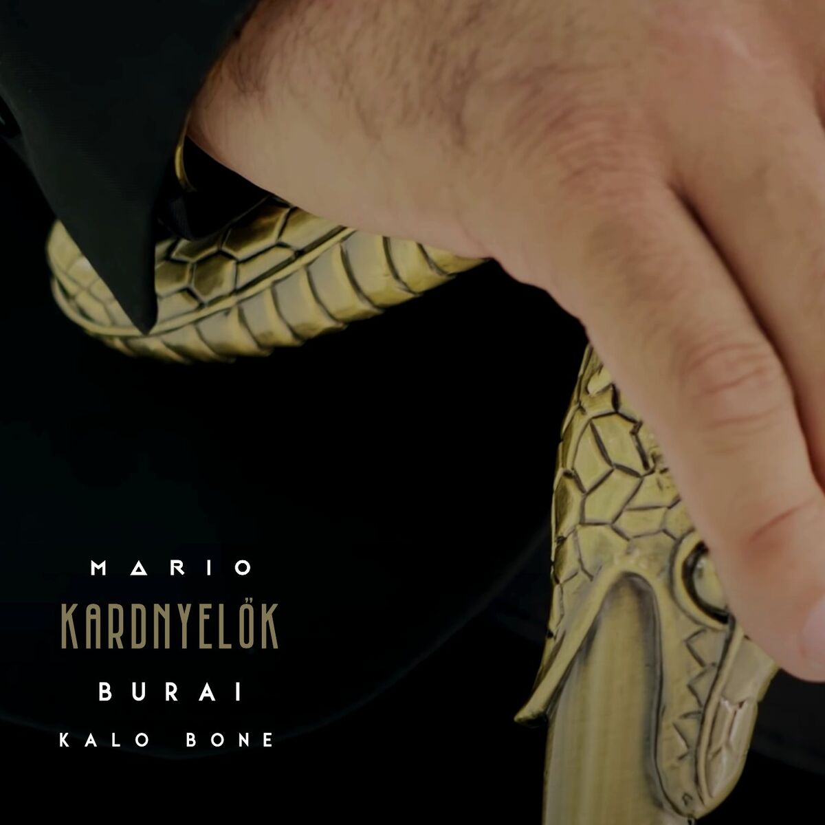 Album cover of Kardnyelők