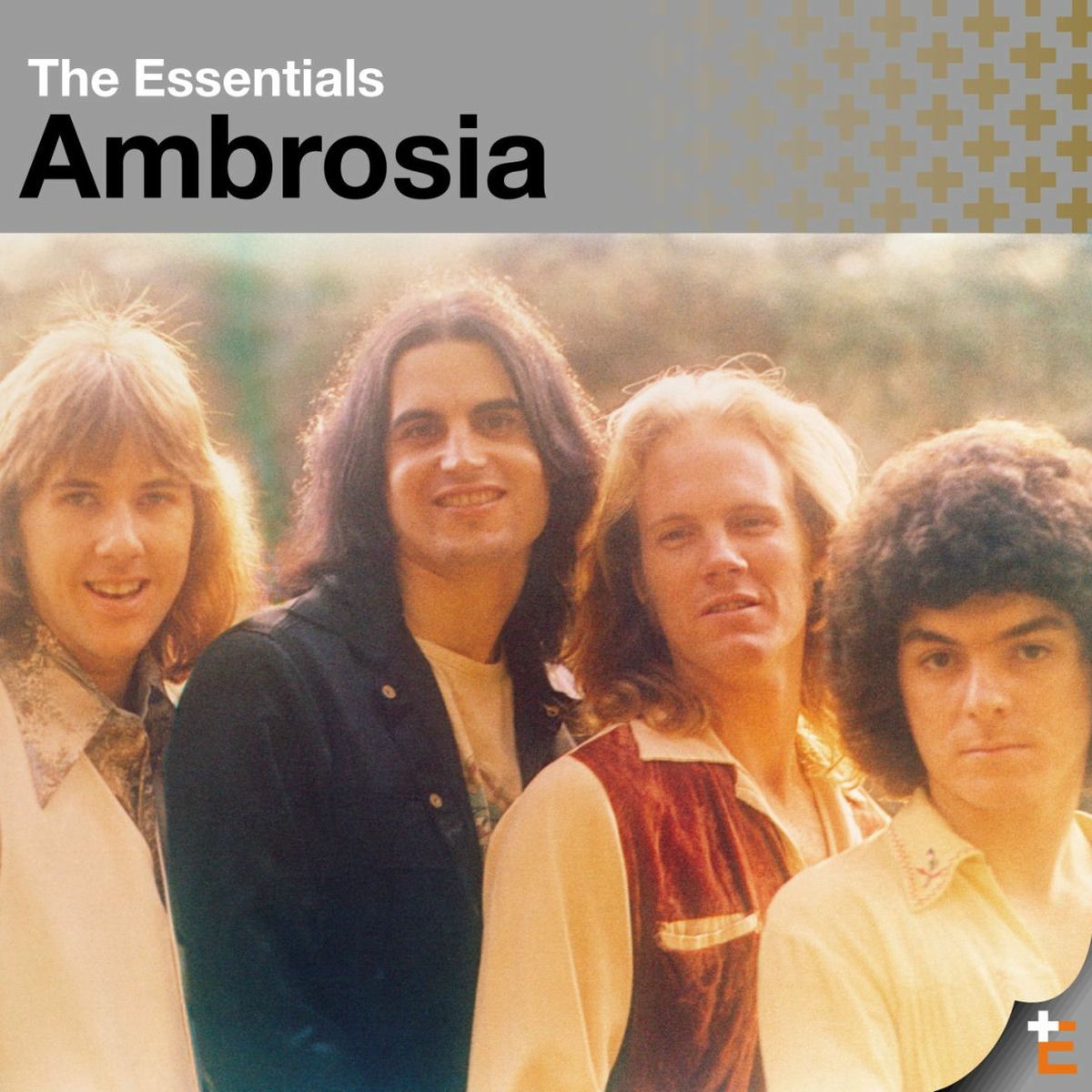 Album picture of The Essentials: Ambrosia