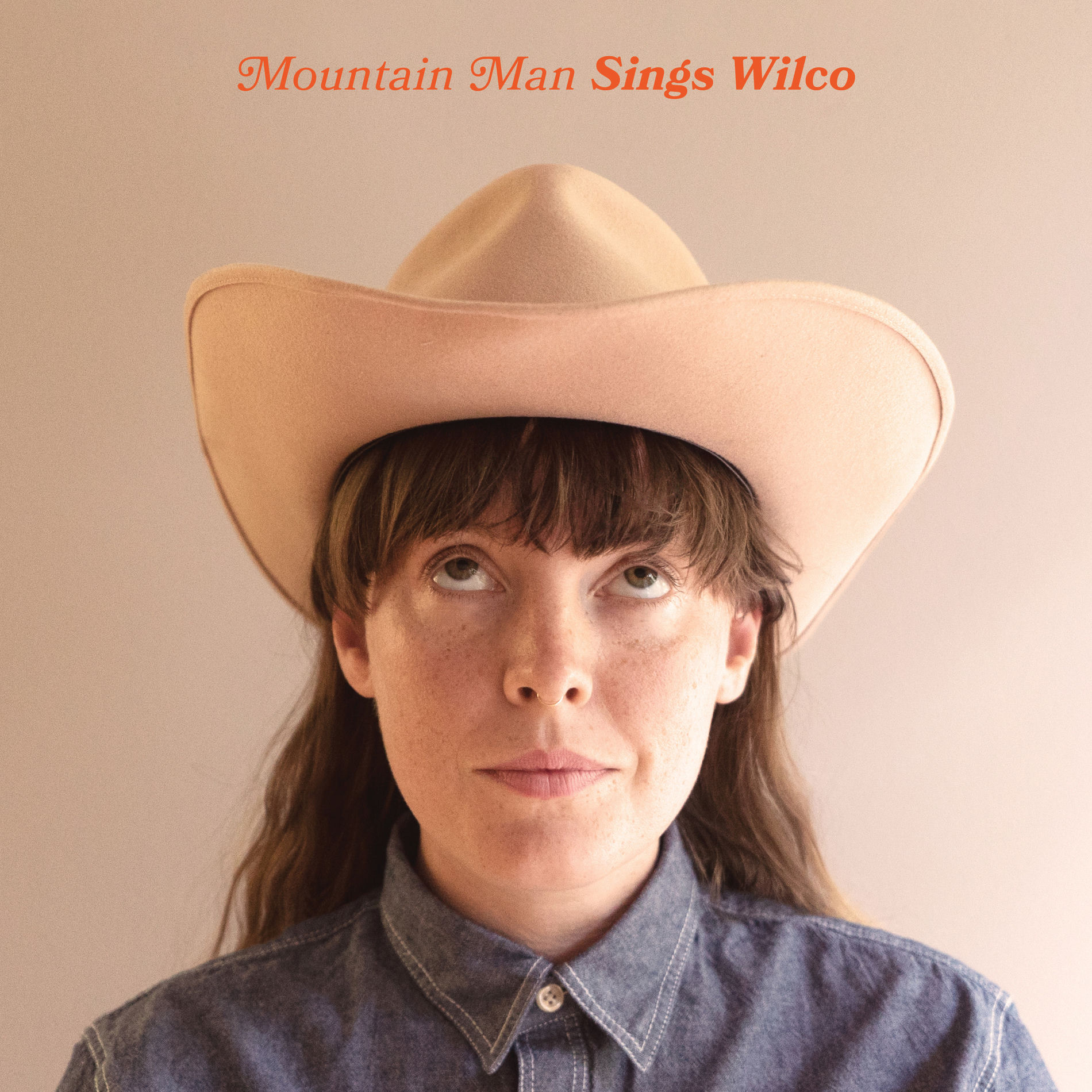 Album cover of Sings Wilco
