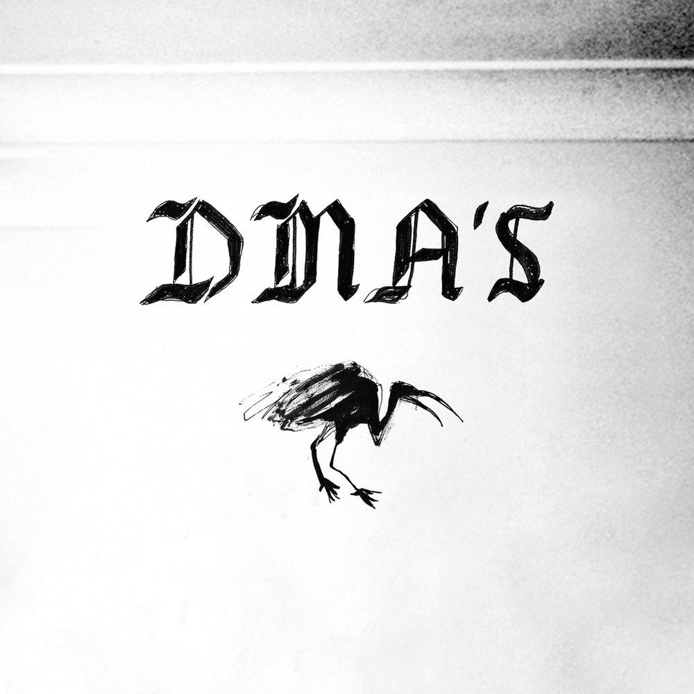DMA's cover
