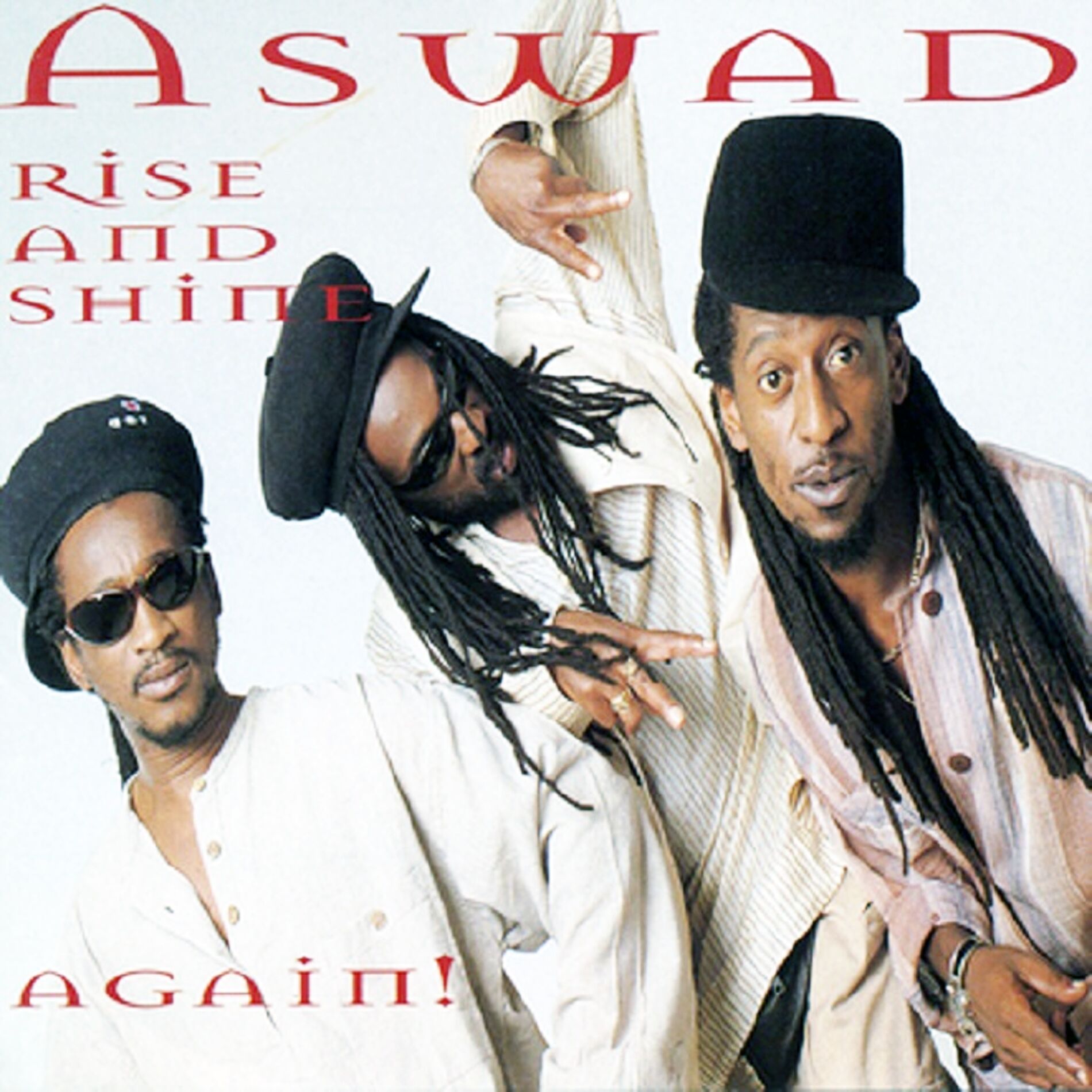 Album cover of Rise And Shine Again!