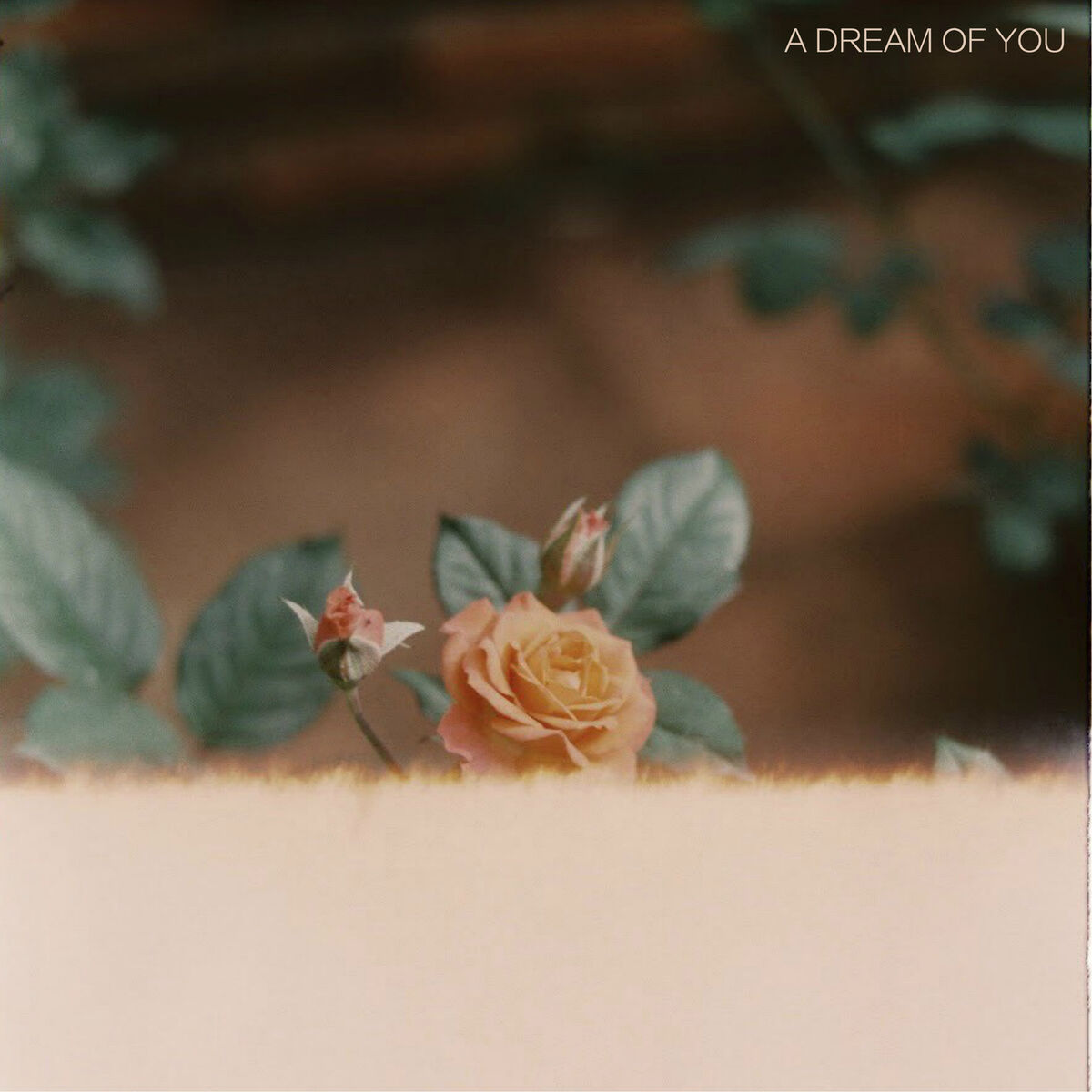 Album cover of A Dream of You