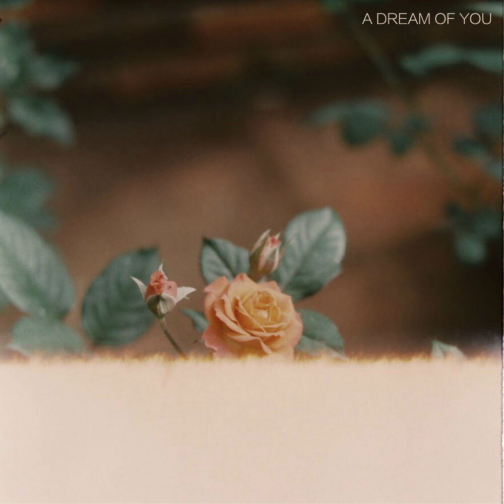 Picture of A Dream of You