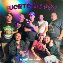 Cover of Fuerte No Soy