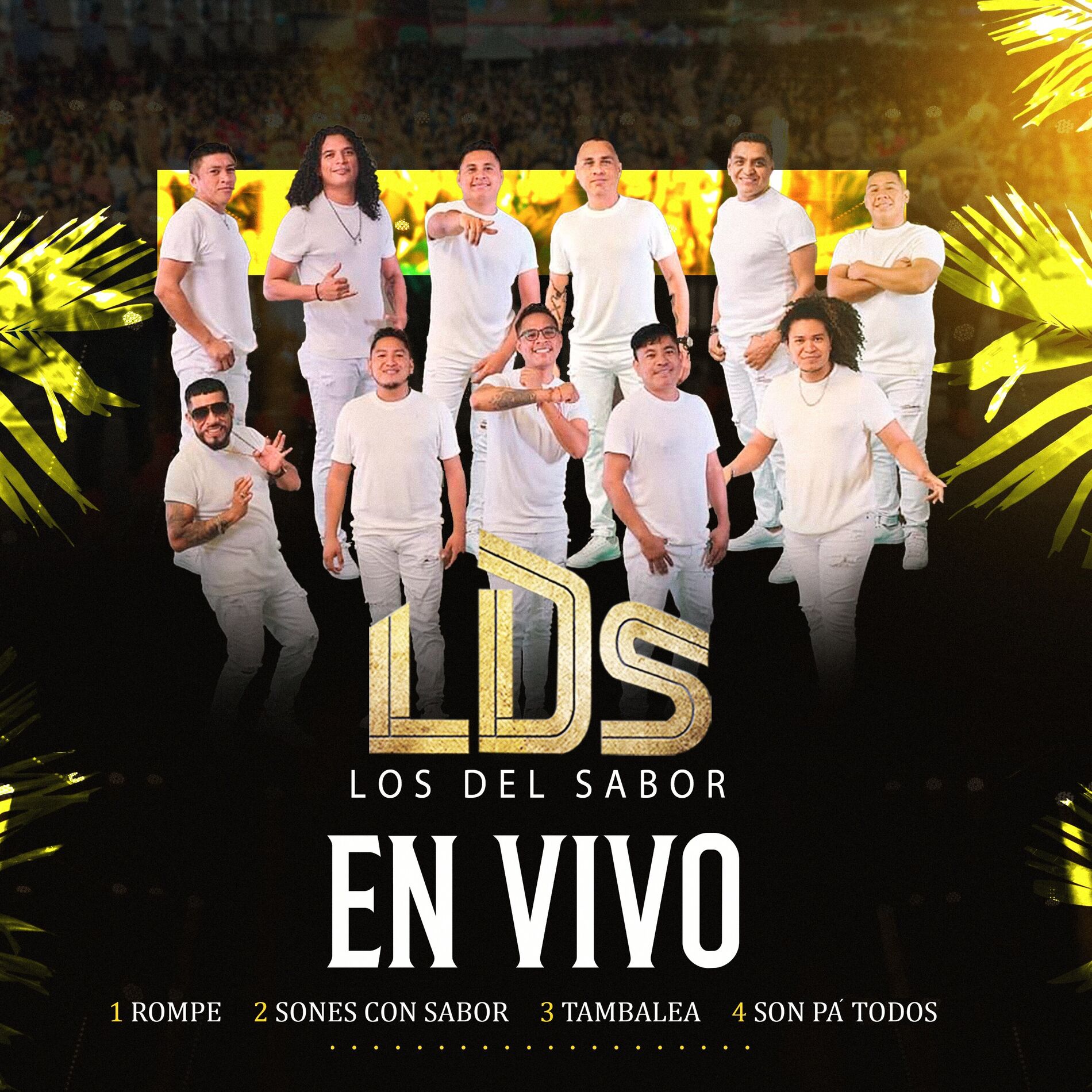Album cover of LDS (En Vivo)