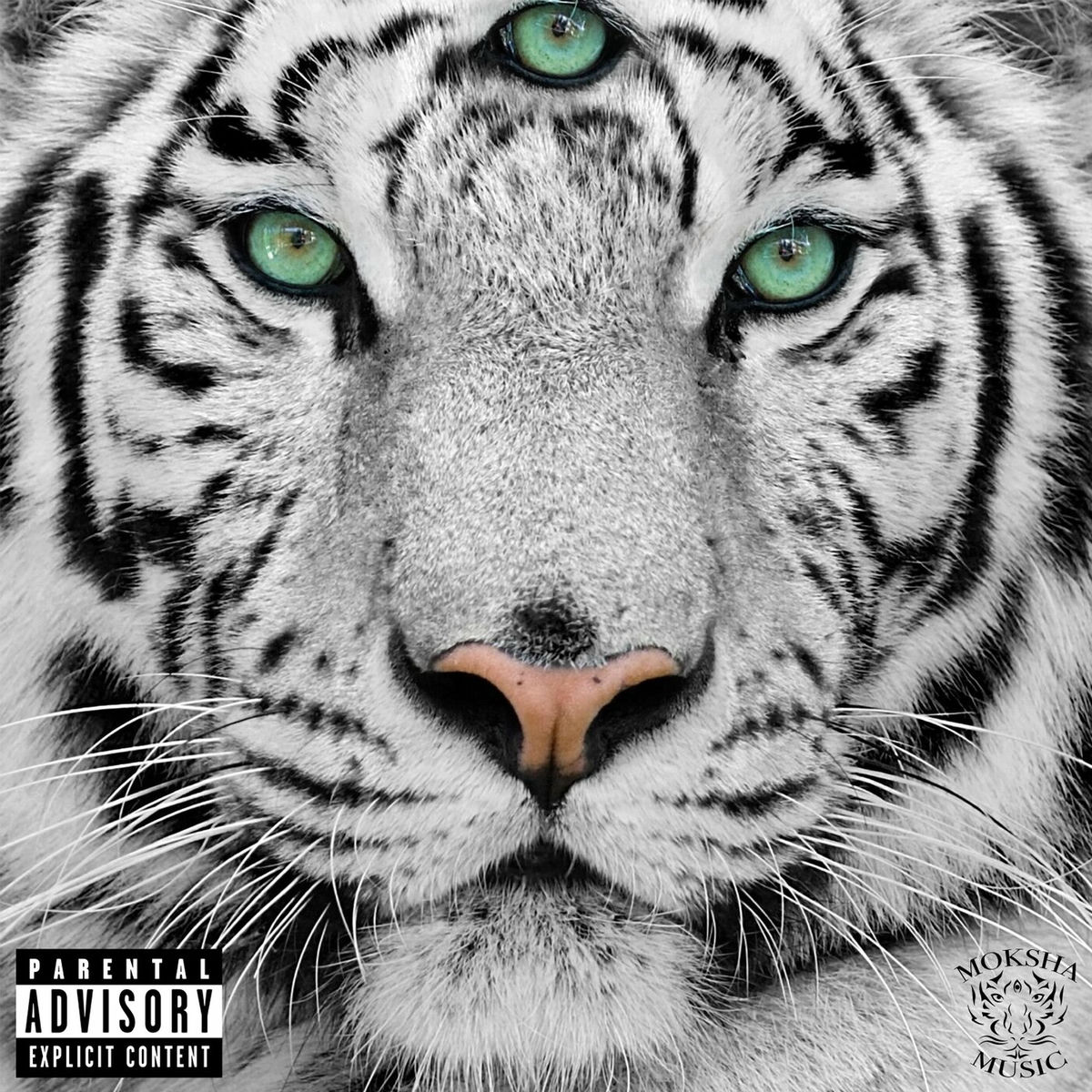 Album cover of Moksha Music