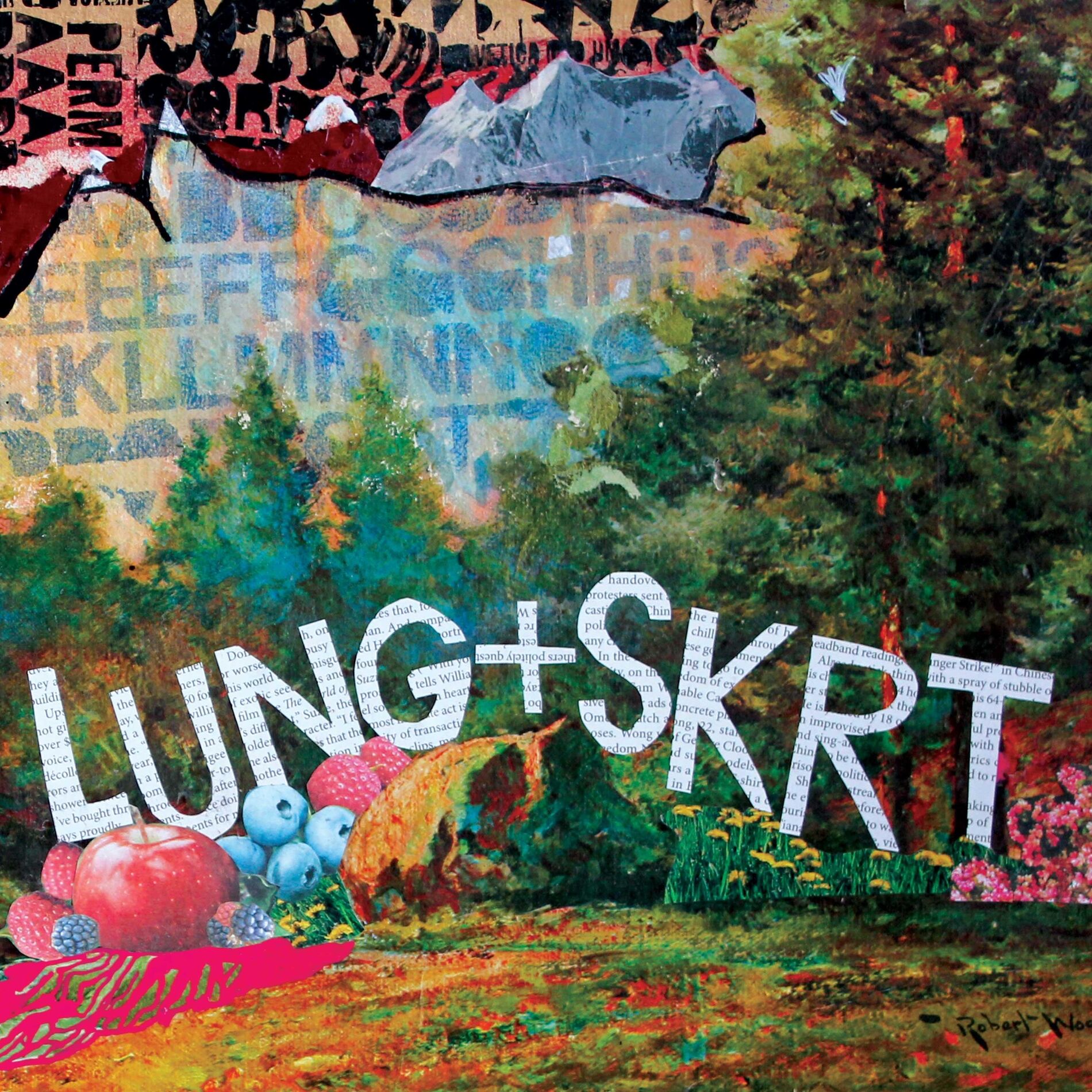 Album cover of Lung/Skrt Split