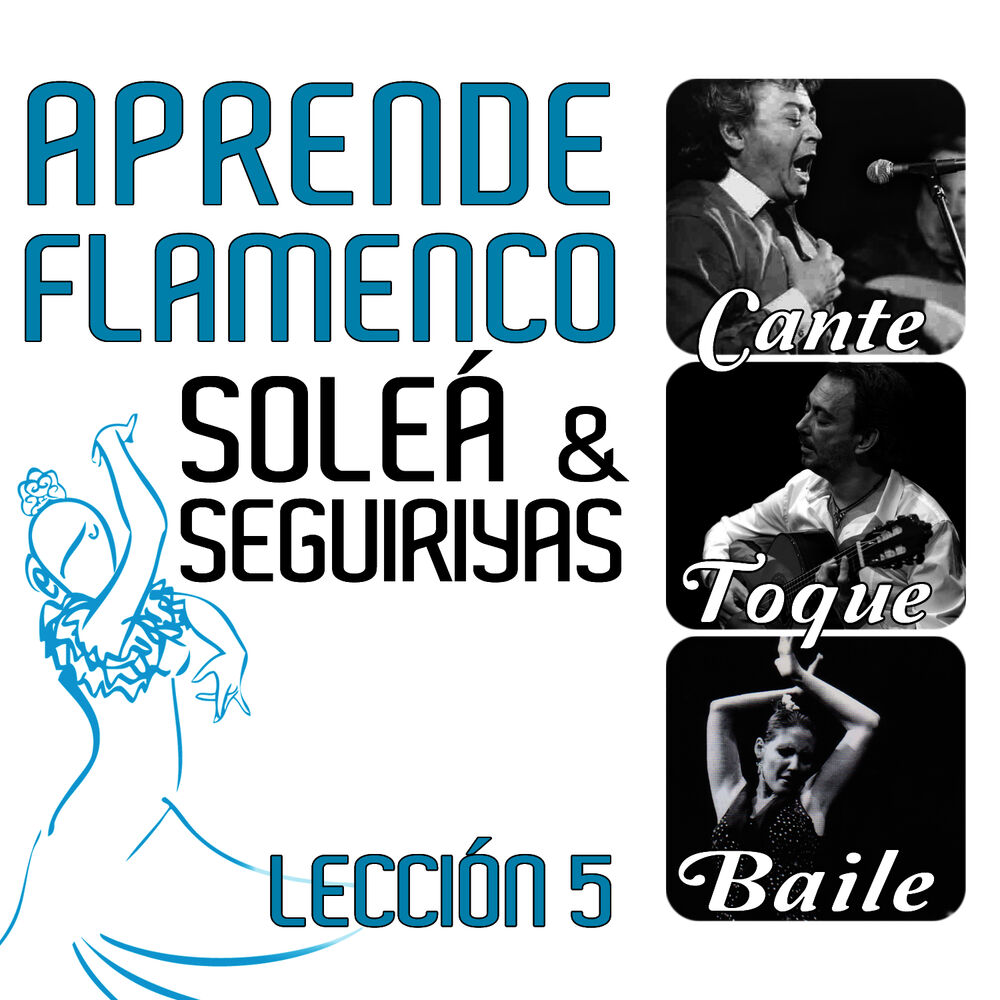 Picture of Aprende Flamenco. Soleá y Seguiriyas. Lección 5