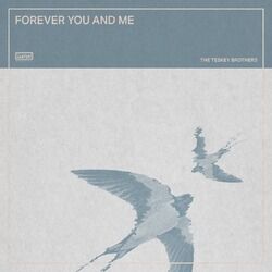 Cover of Forever You and Me