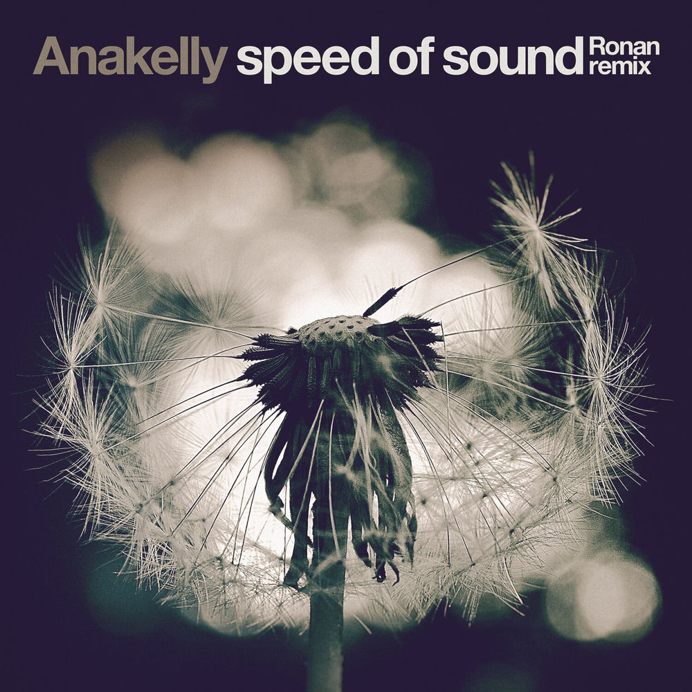 Pochette du titre Speed of Sound