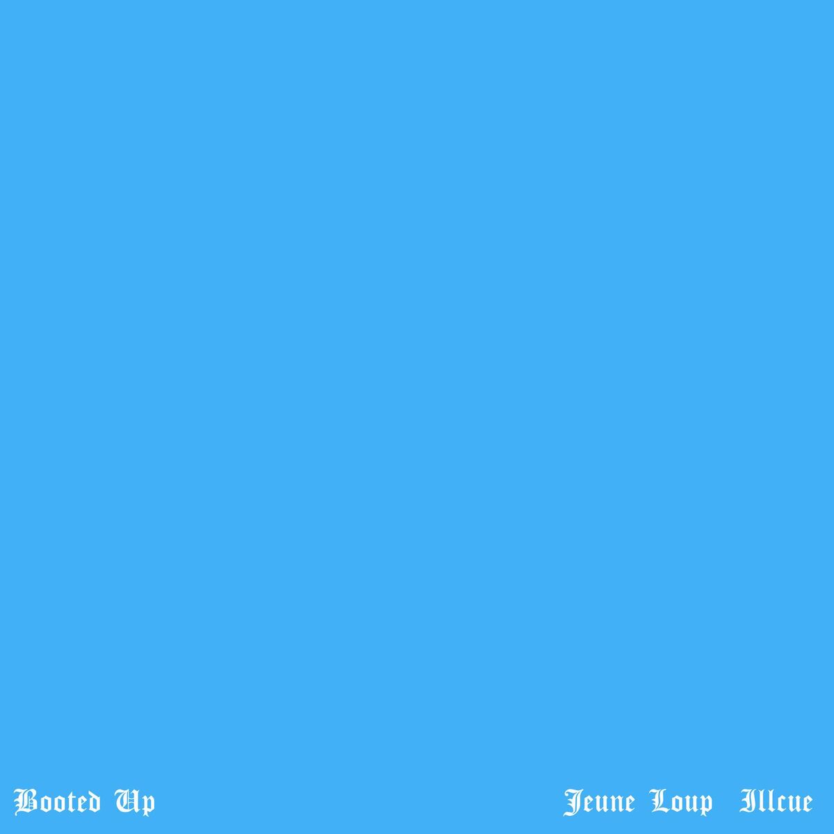 Album cover of Booted Up