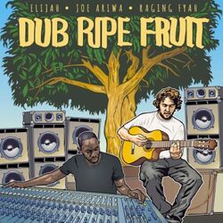 Cover of Dub Ripe Fruit