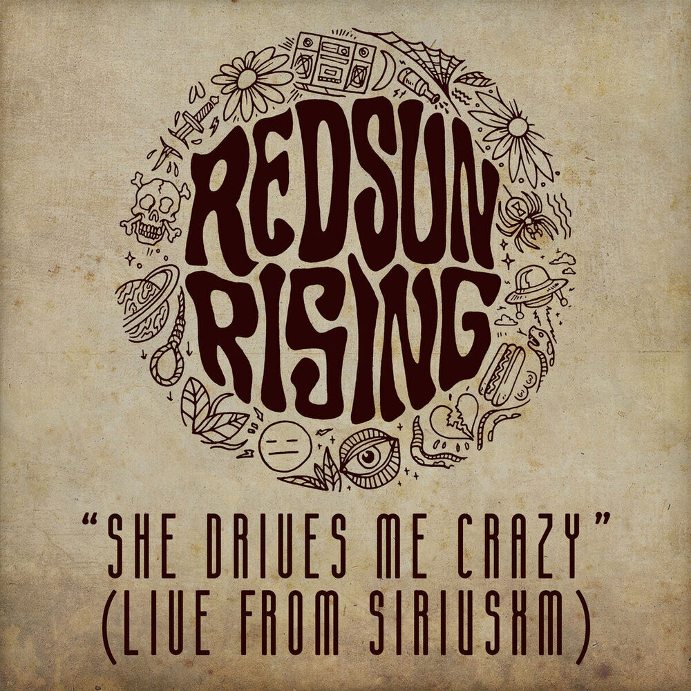 Picture of She Drives Me Crazy (Live From SiriusXM)