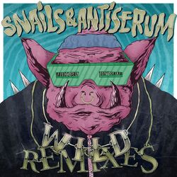 Cover of Wild Remixes