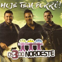 Cover of Hoje Tem Forró