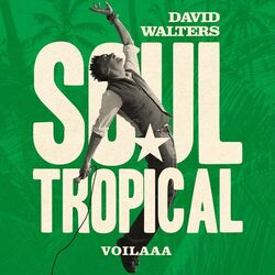 Cover of Soul Tropical (Voilaaa Remix)
