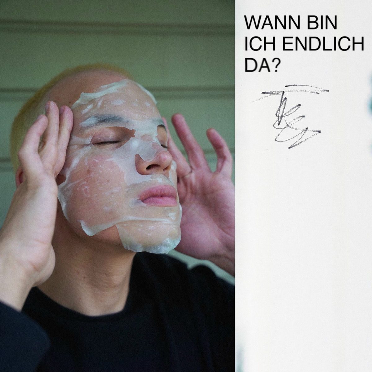 Album cover of Wann bin ich endlich da?