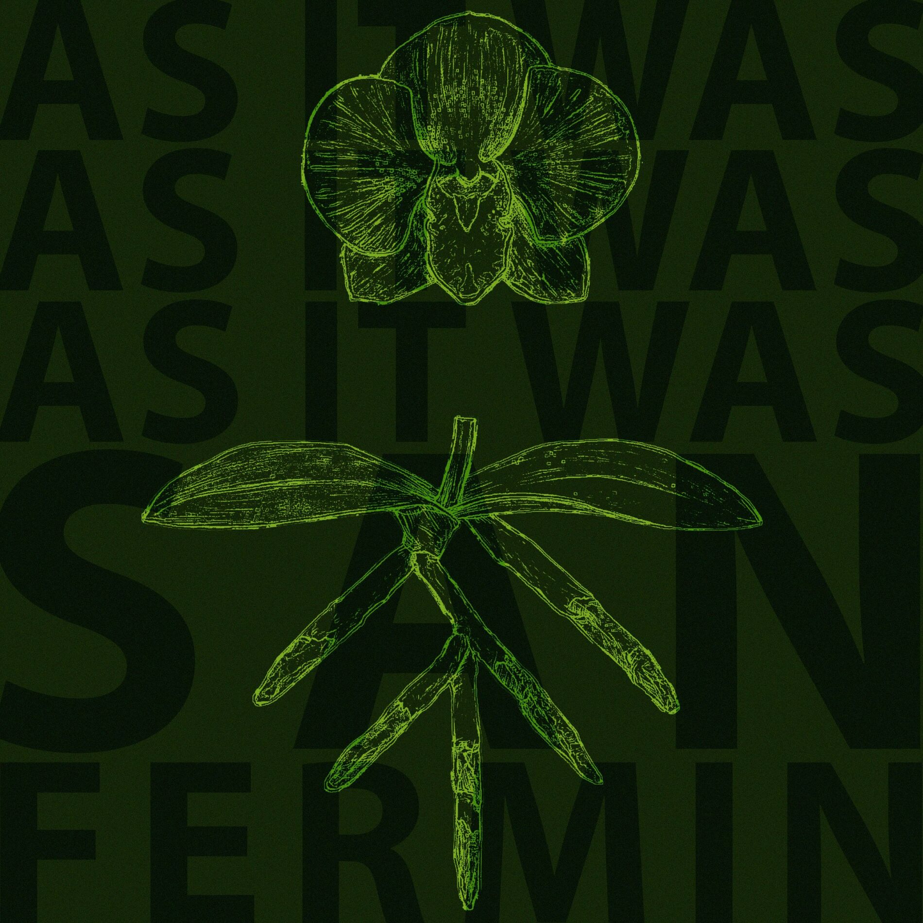 Album cover of As It Was