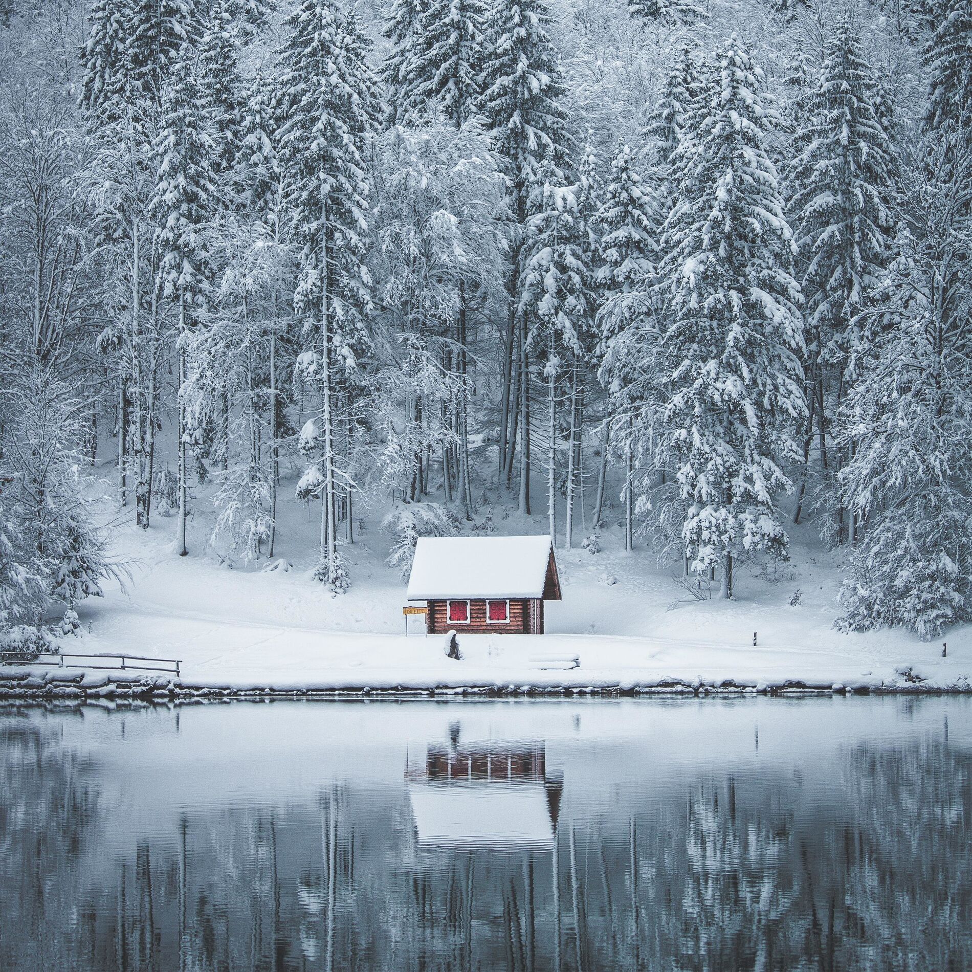 Album cover of Snowflakes
