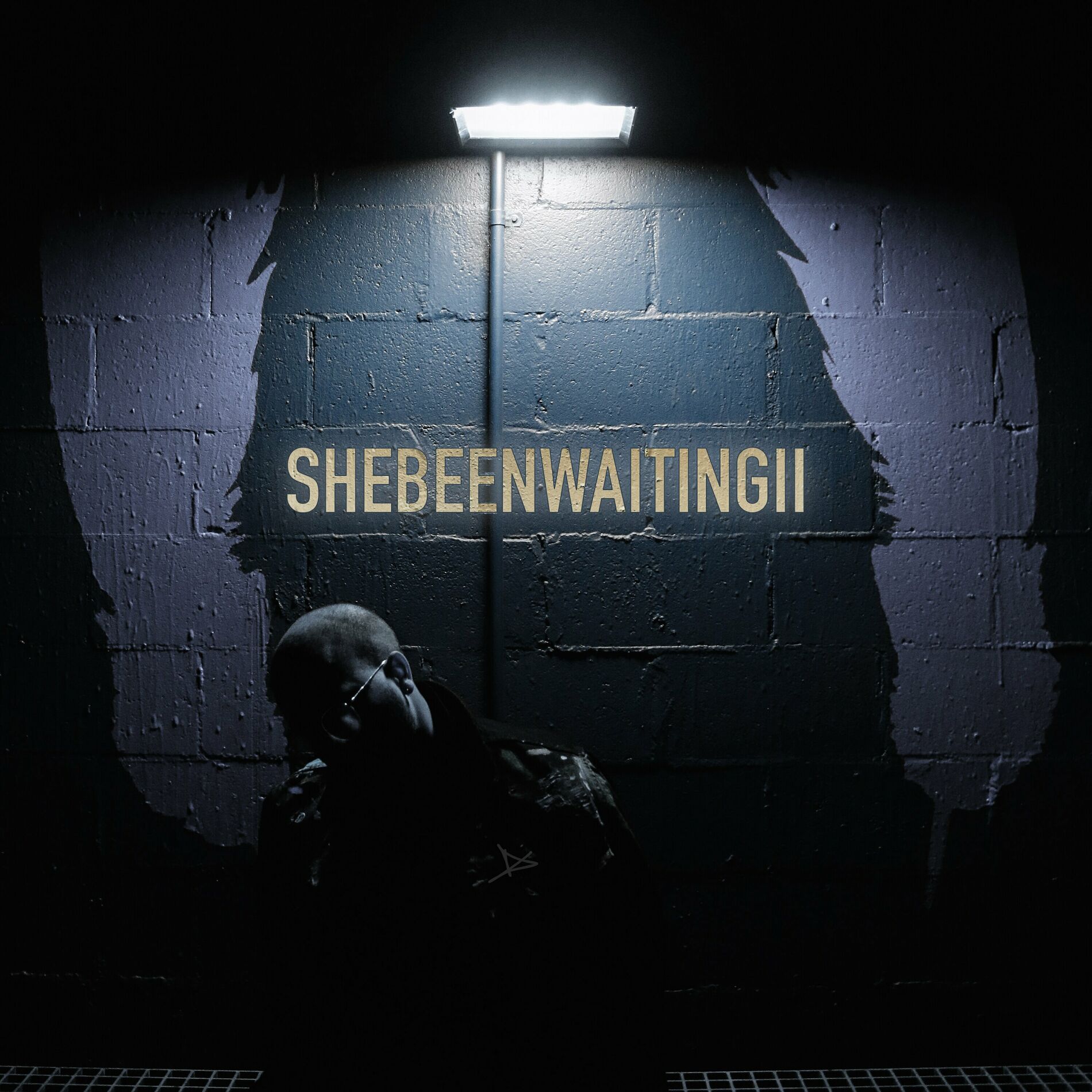 Album cover of She Been Waiting II
