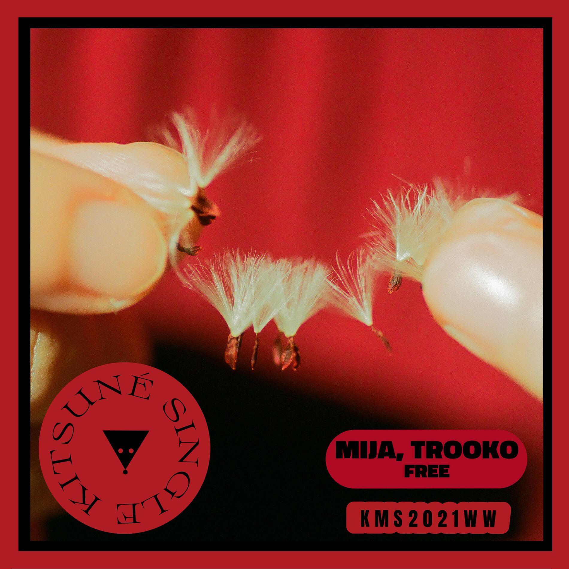 Album cover of Free