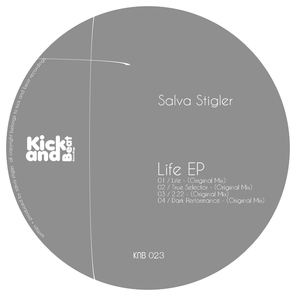Picture of Life EP