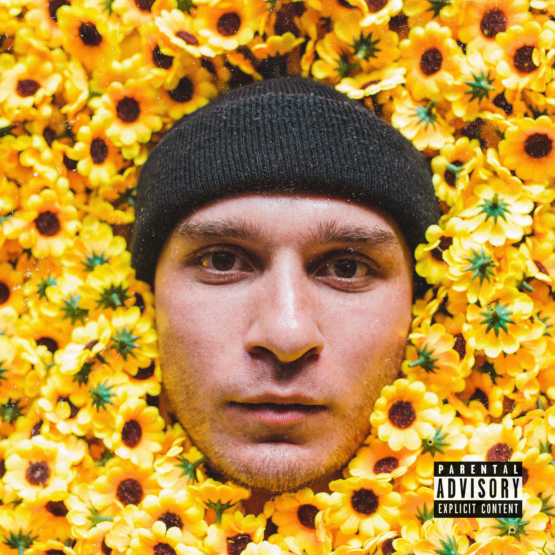 Album cover of Light Year