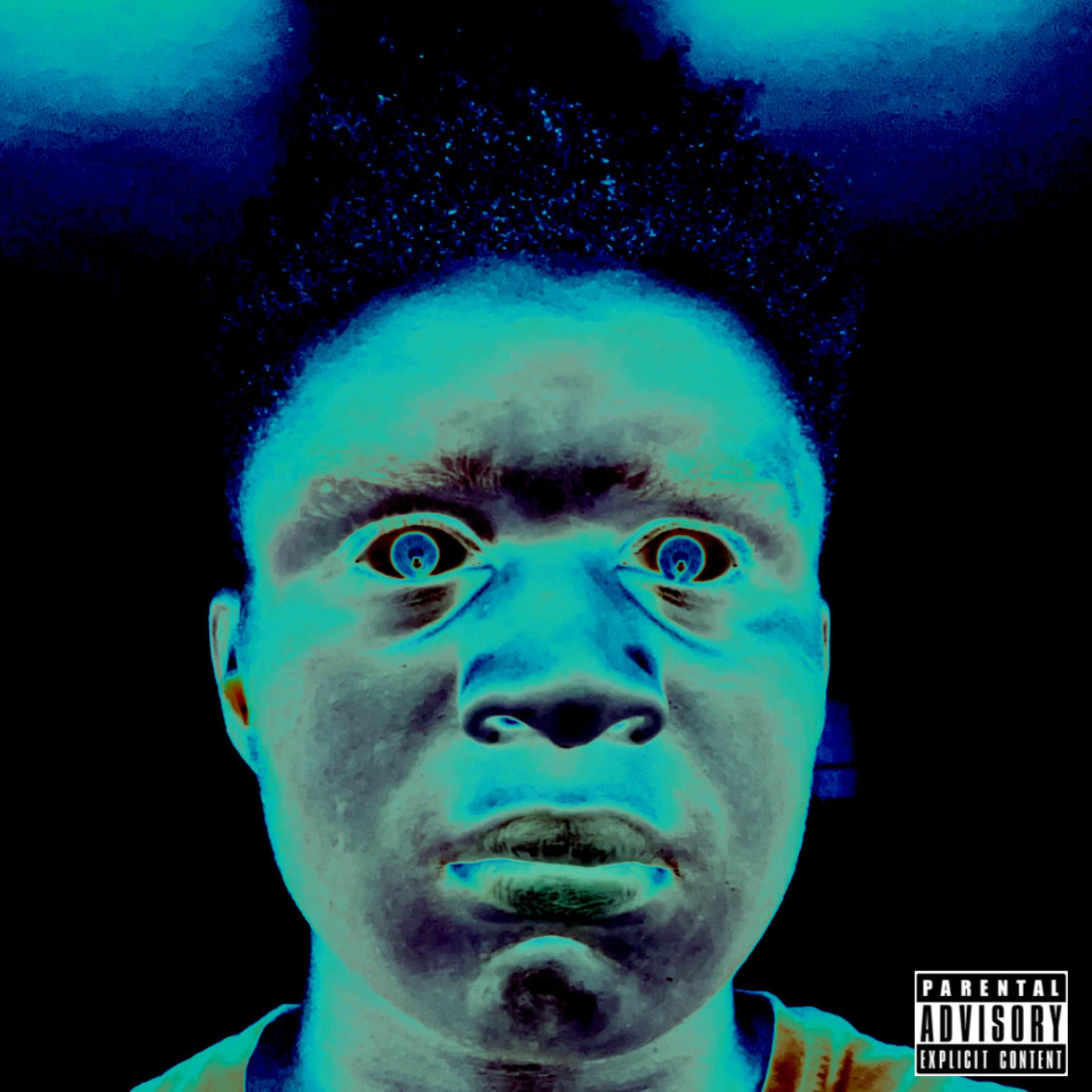 Album cover of The Panini Freestyles