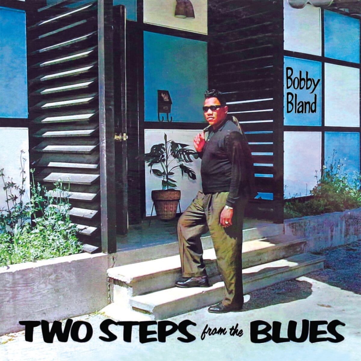 Album cover of Two Steps From The Blues