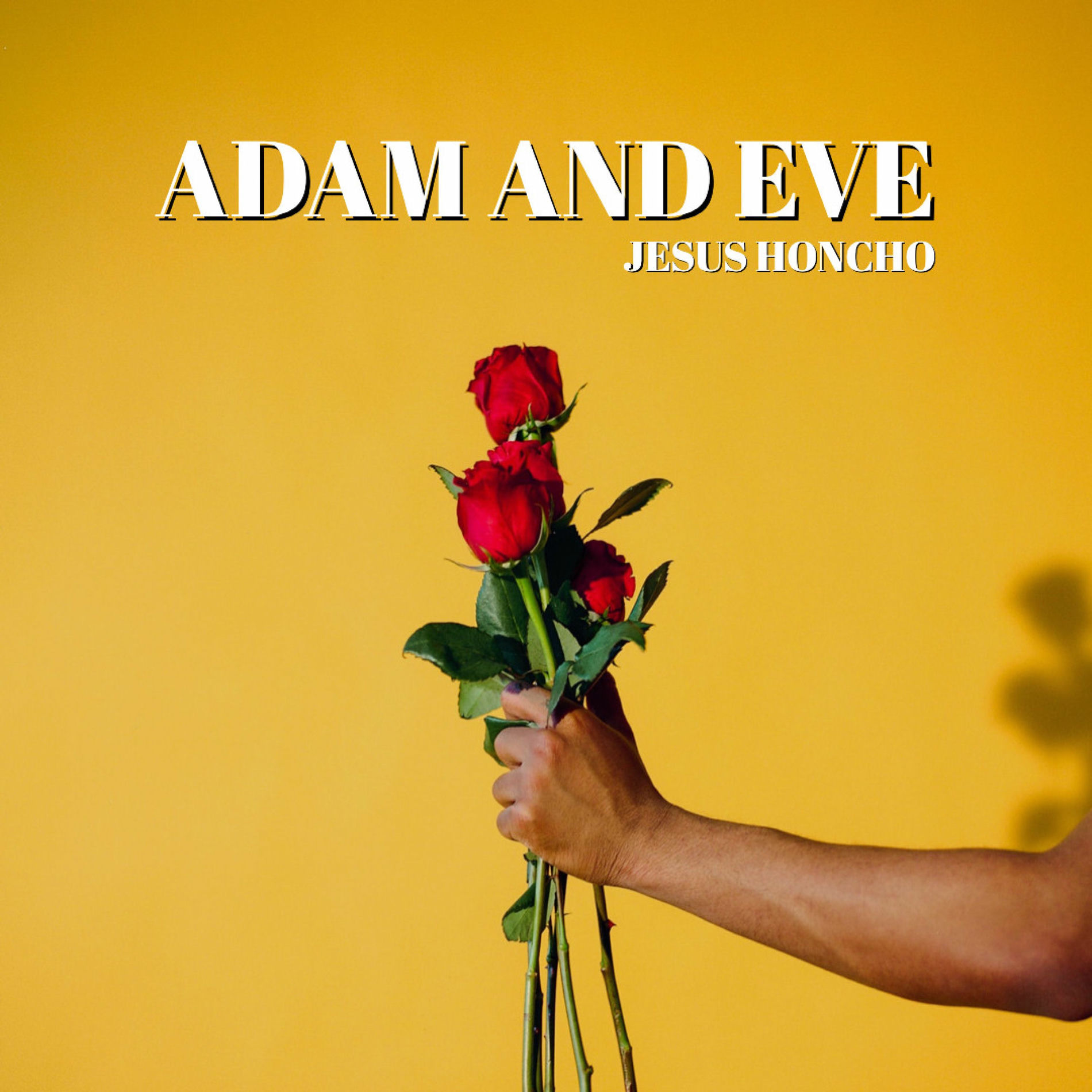 Album cover of Adam and Eve