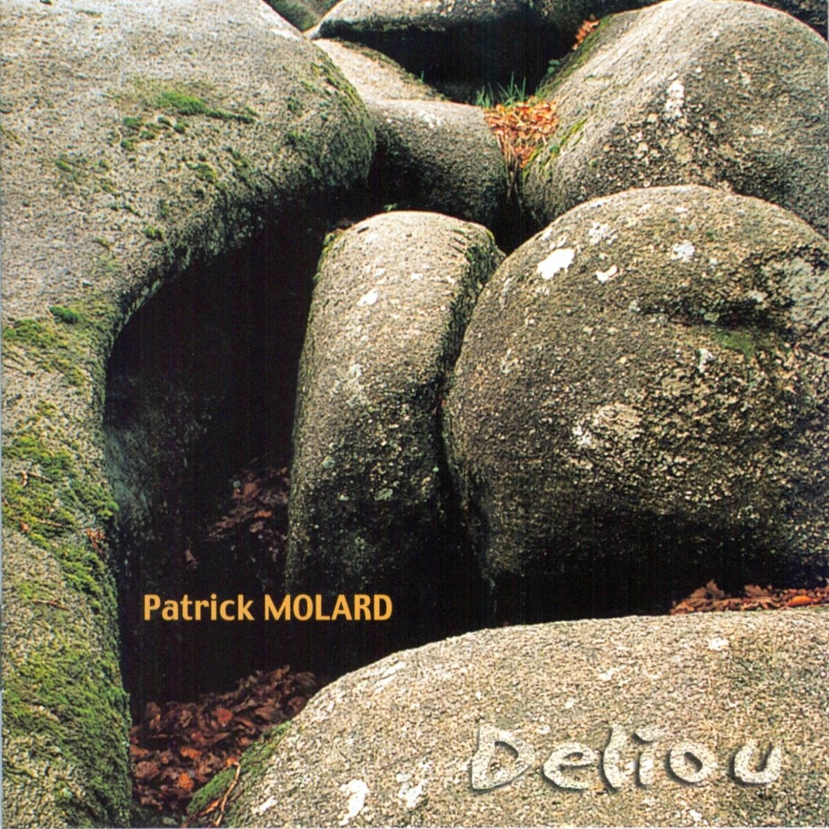 Album cover of Deliou
