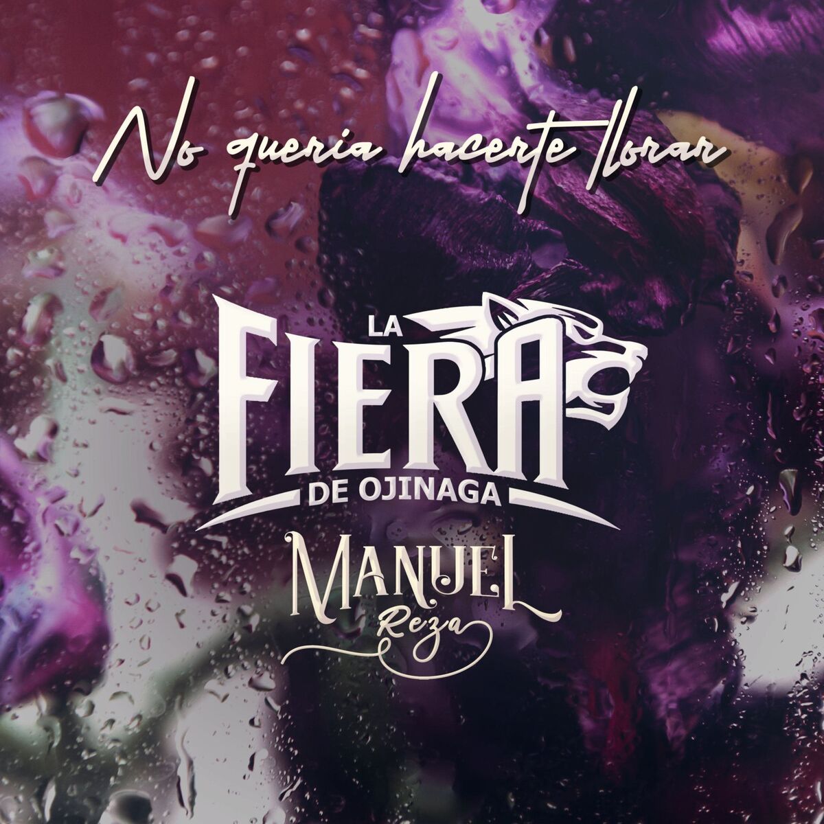 Album cover of No Quería Hacerte Llorar
