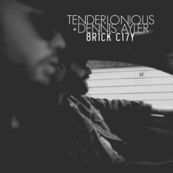 Cover of 8R1CK C17Y