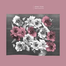 Cover of Amaro Extensions