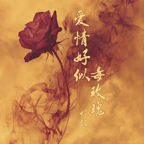 爱情好似毒玫瑰