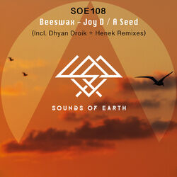 Cover of Joy D / A Seed