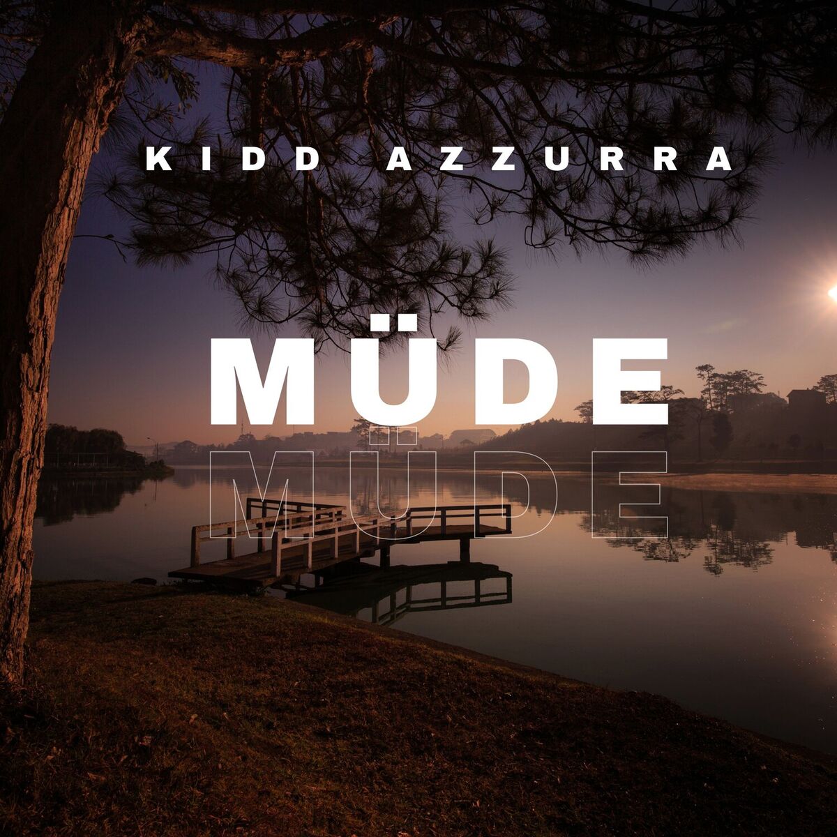 Album cover of Müde