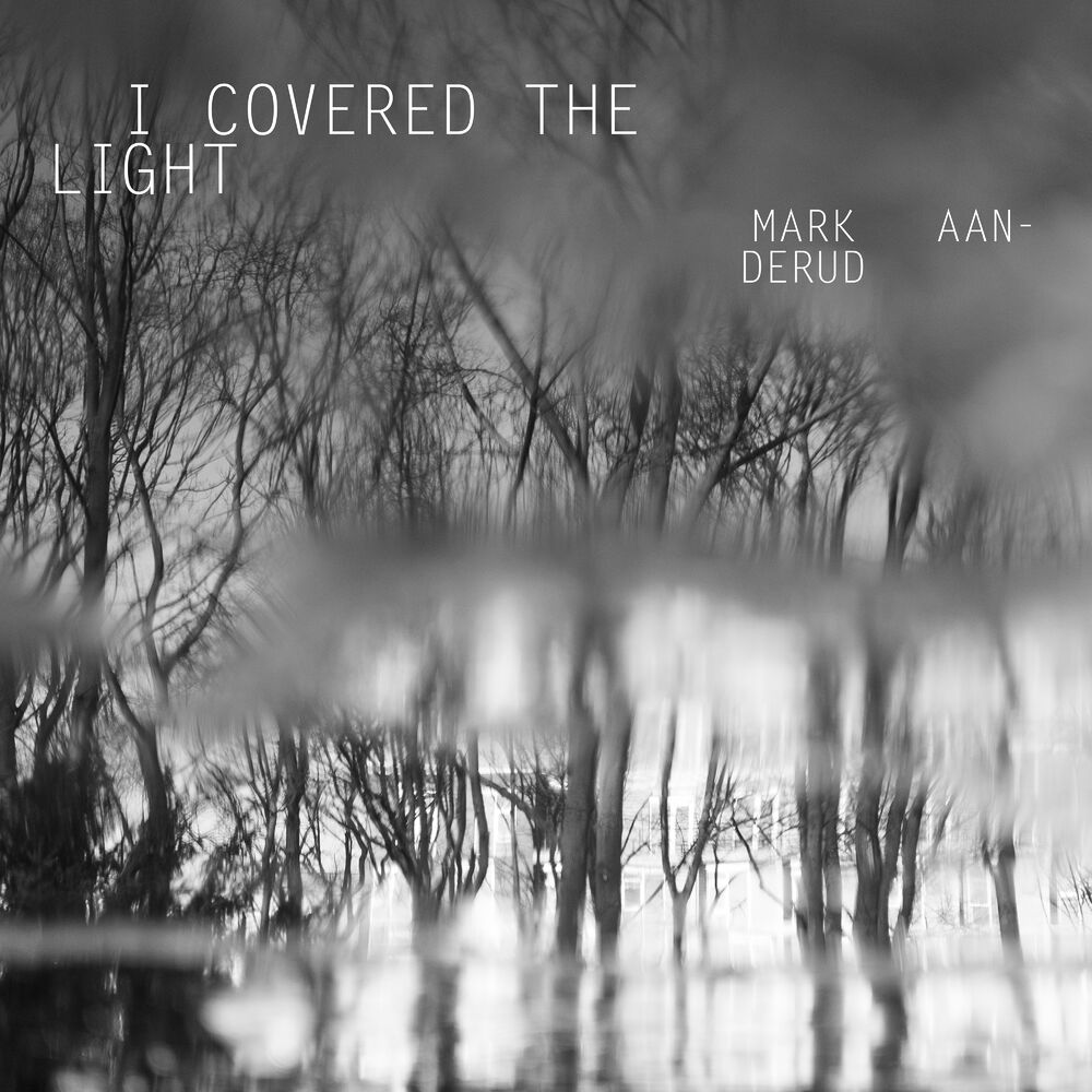 Picture of I Covered the Light