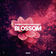 Blossom by Rodrigo Deem album cover