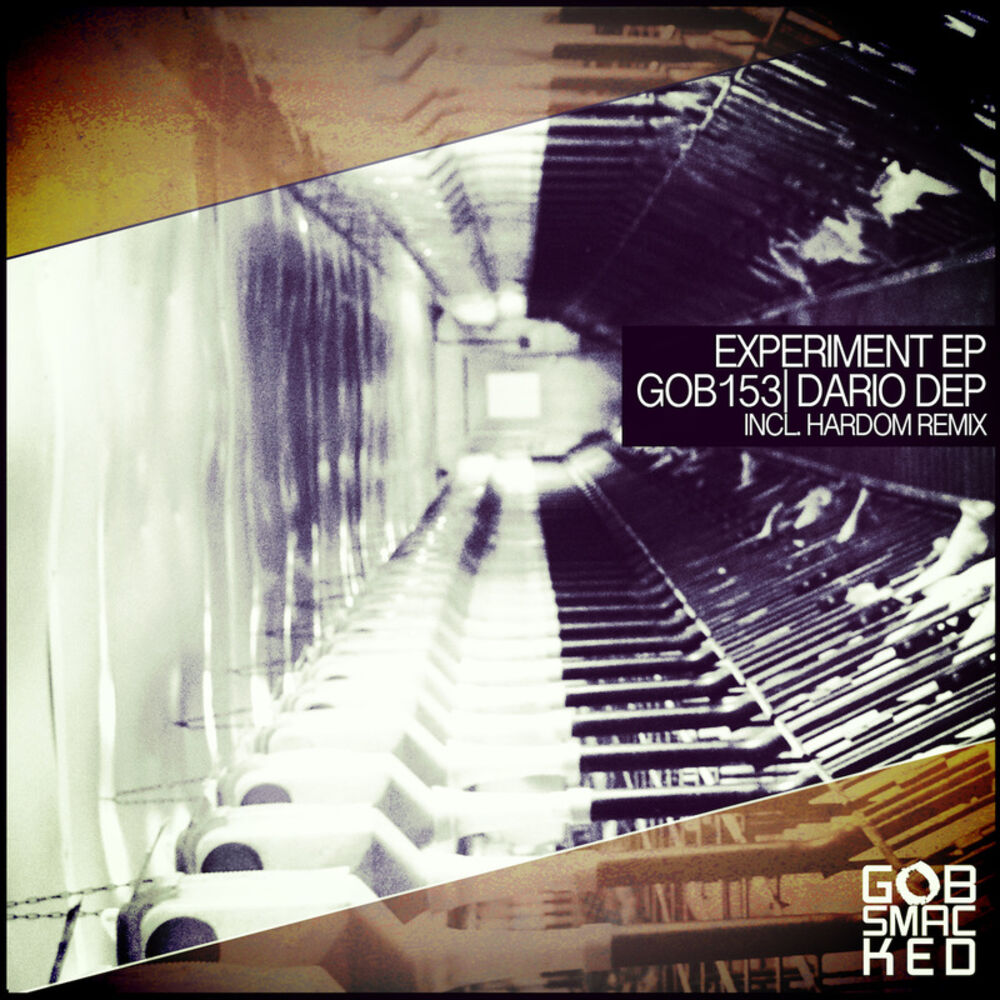 Picture of Experiment EP
